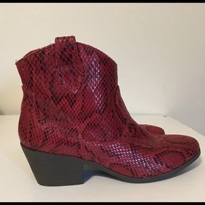 Red & Black Snakeskin Ankle Boots NIB